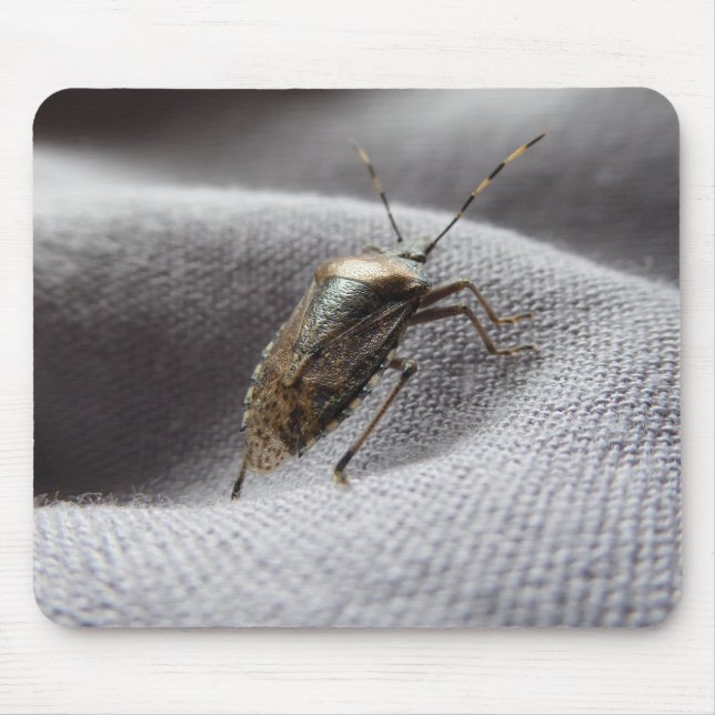 Graue Gartenwanze buggy stink bug Mouse Pad (Front)