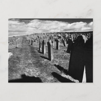 Gravestones, Whitby Abbey, Whitby, North Yorkshire Postcard