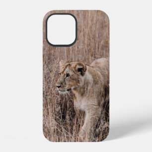 GRAY AND BROWN LION SURROUNDED BY BROWN GRASS iPhone 12 CASE