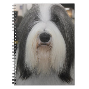 GRAY AND WHITE BEARDED COLLIE DOG NOTEBOOK
