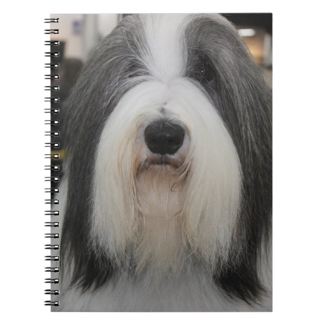 GRAY AND WHITE BEARDED COLLIE DOG NOTEBOOK (Front)