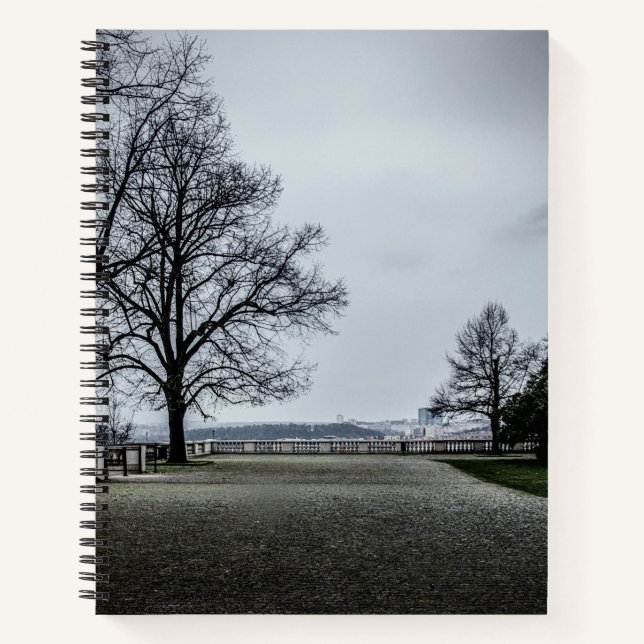 Gray autumn day in Prague Notebook (Front)