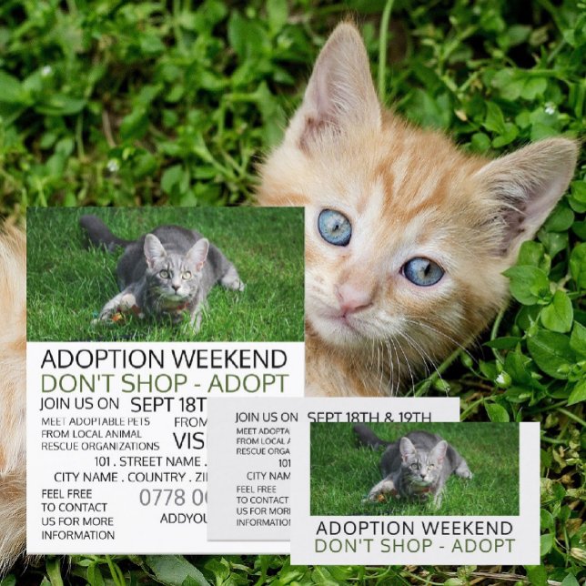 Gray Cat on Grass, Pet Adoption Event Advertising Business Card (Creator Uploaded)