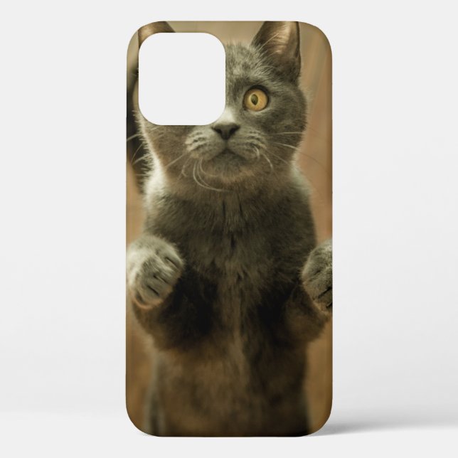 GRAY CAT STANDING IN TWO FEET Case-Mate iPhone CASE (Back)