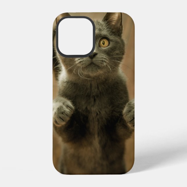 GRAY CAT STANDING IN TWO FEET iPhone CASE (Back)