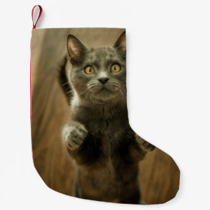 GRAY CAT STANDING IN TWO FEET SMALL CHRISTMAS STOCKING