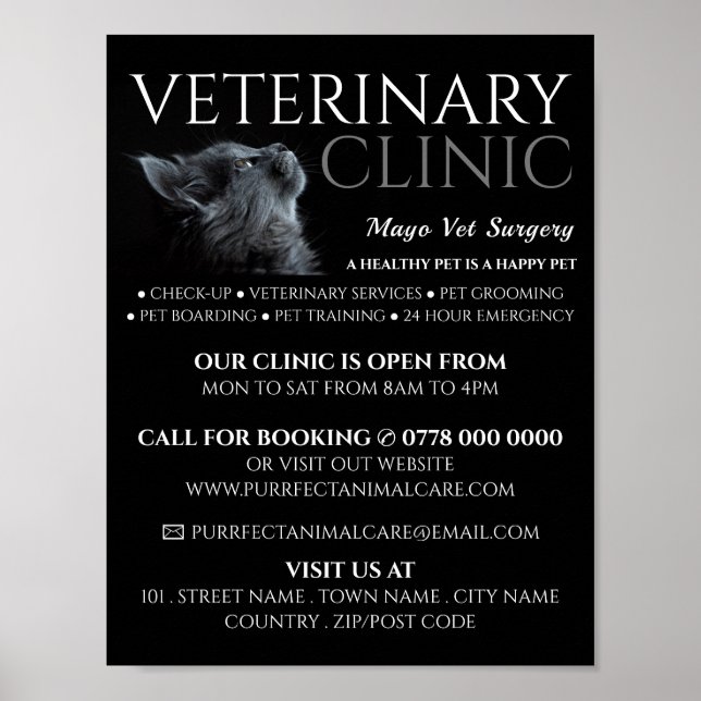 Gray Cat, Veterinarian, Veterinary Service Advert Poster (Front)
