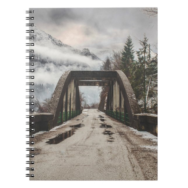 GRAY CONCRETE ARCH BRIDE BESIDE LEAFLESS TREE NEAR NOTEBOOK (Front)