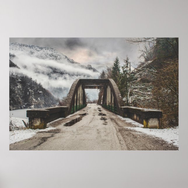 GRAY CONCRETE ARCH BRIDE BESIDE LEAFLESS TREE NEAR POSTER (Front)
