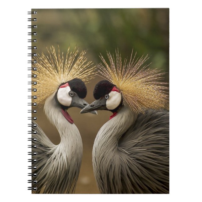 Gray Crowned Crane Notebook (Front)