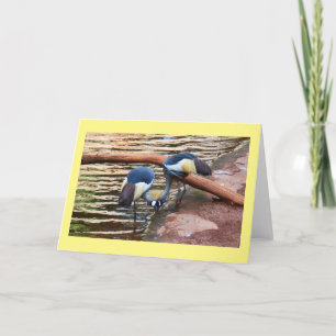 Gray crowned cranes holiday card