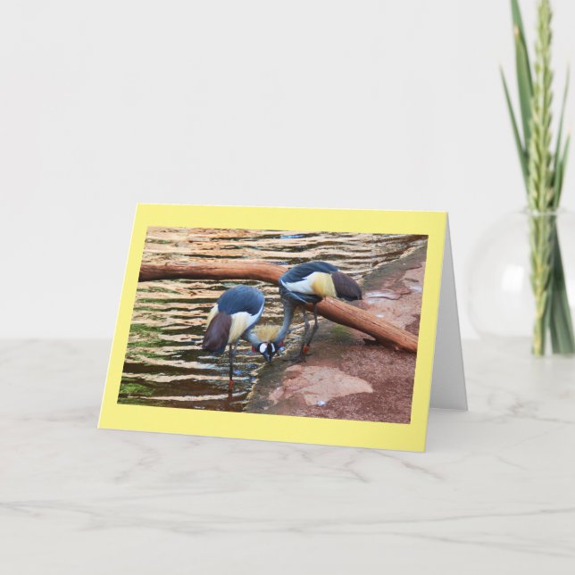 Gray crowned cranes holiday card (Front)