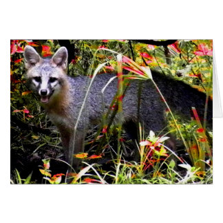 GRAY FOX UNDER TREE