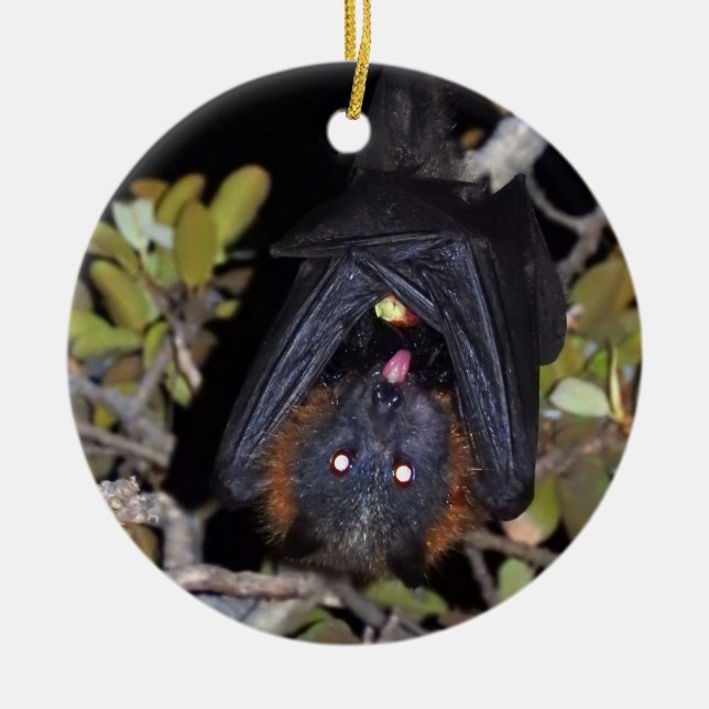Gray-Headed Flying Fox Ceramic Tree Decoration (Front)