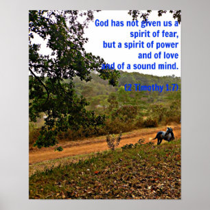 Gray horse inspirational Timothy Bible Verse God Poster