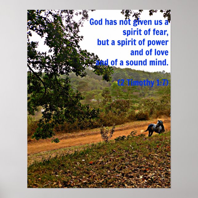 Gray horse inspirational Timothy Bible Verse God Poster (Front)