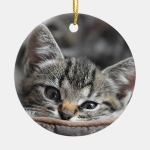 Gray Kitten Ceramic Ornament