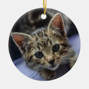 Gray Kitten Ceramic Ornament