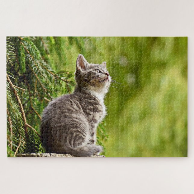 Gray Kitten Cute Cat in Nature Jigsaw Puzzle (Horizontal)
