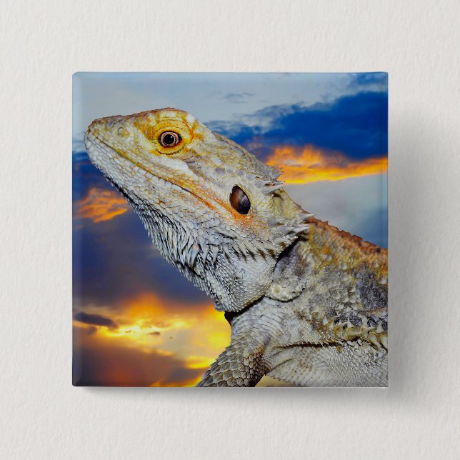 Gray Lizard at sunset 15 Cm Square Badge (Front)