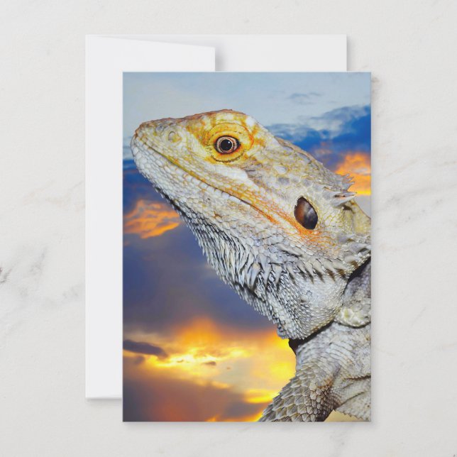 Gray Lizard at sunset Invitation (Front)