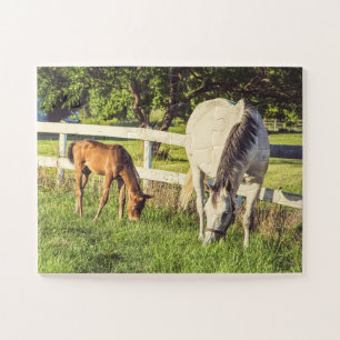 Gray Mare & Foal Horses Oversized Jigsaw Puzzle