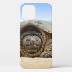 GRAY SAND TURTLE iPhone 12 CASE