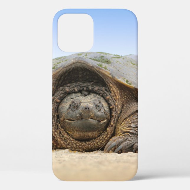 GRAY SAND TURTLE Case-Mate iPhone CASE (Back)