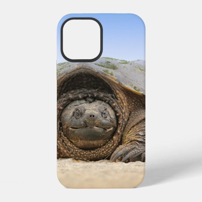 GRAY SAND TURTLE iPhone CASE (Back)