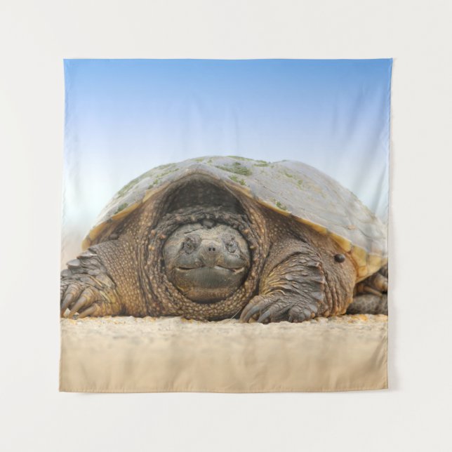 GRAY SAND TURTLE TAPESTRY (Front)