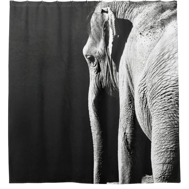 GRAY SCALE PHOTO OF ELEPHANT SHOWER CURTAIN (Front)