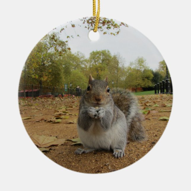 Gray Squirrel Hyde Park. Ceramic Tree Decoration (Front)