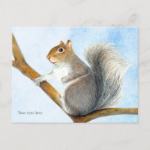 Gray Squirrel Watercolor Painting Postcard