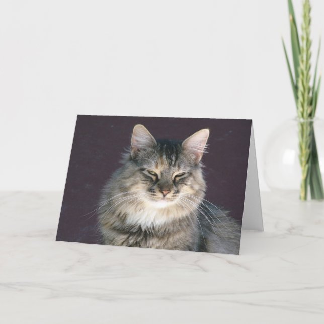 Gray Tabby Cat Note Card (Front)