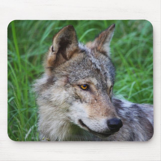 Gray Timber Wolf Mouse Pad (Front)