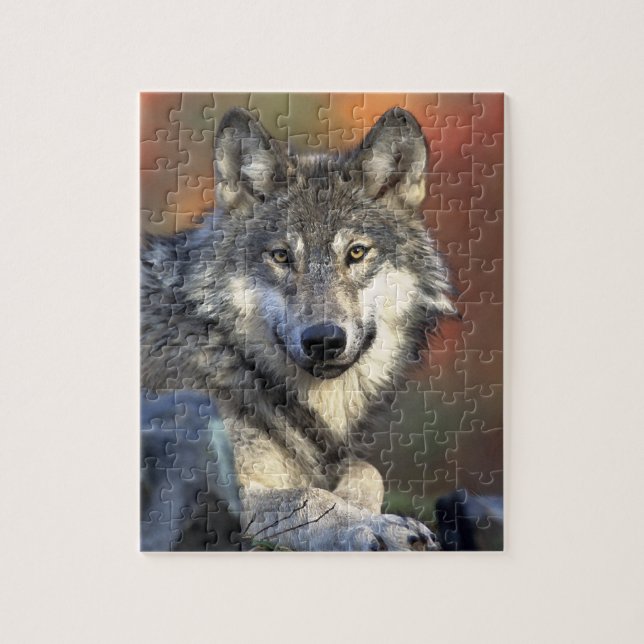 Gray Wolf Jigsaw Puzzle (Vertical)
