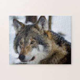 Gray Wolf, Jigsaw Puzzle