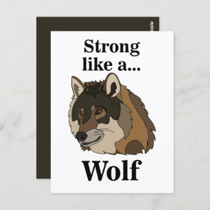 Gray Wolf Postcard