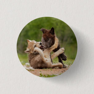 Gray Wolf Pups Wresting 3 Cm Round Badge