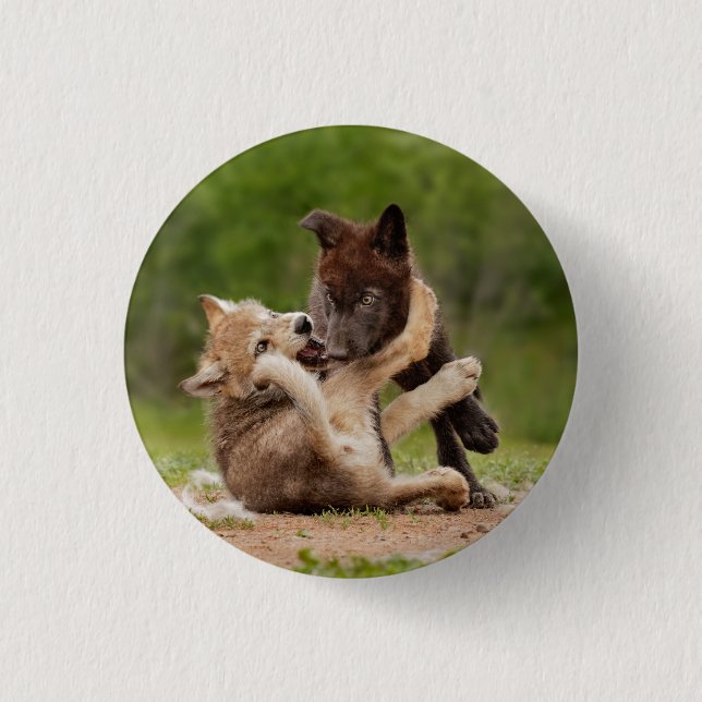Gray Wolf Pups Wrestling 3 Cm Round Badge (Front)