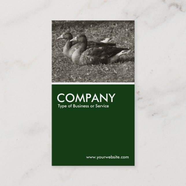 Graylag Geese (Sepia) - Dark Green Business Card (Front)