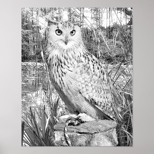 Grayscale Colouring Owl Trees Nature Colouring Poster (Front)