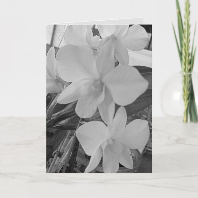 Grayscale Orchids on a Sympathy Card (Front)