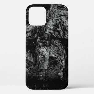 Grayscale photo of rock iPhone 12 case