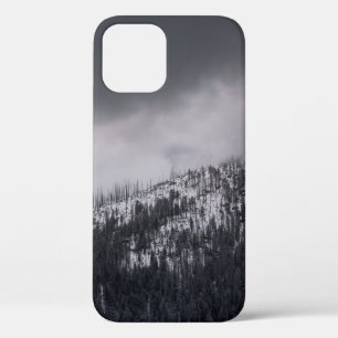 GRAYSCALE PHOTO OF TREE iPhone 12 CASE