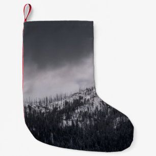 GRAYSCALE PHOTO OF TREE SMALL CHRISTMAS STOCKING
