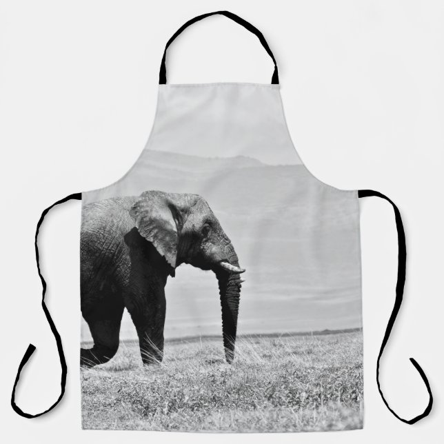 GRAYSCALE PHOTOGRAPHY OF ELEPHANT APRON (Front)
