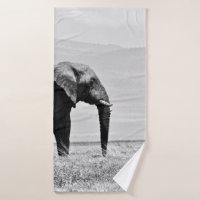 GRAYSCALE PHOTOGRAPHY OF ELEPHANT