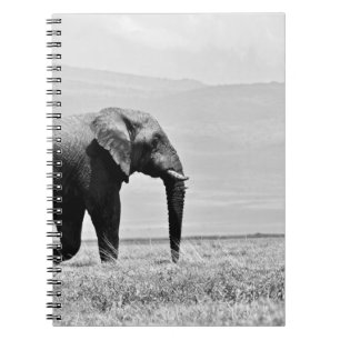 GRAYSCALE PHOTOGRAPHY OF ELEPHANT NOTEBOOK