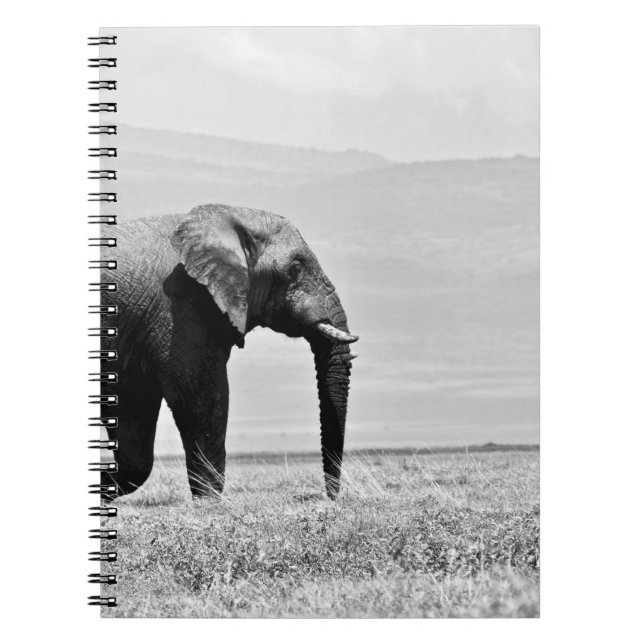 GRAYSCALE PHOTOGRAPHY OF ELEPHANT NOTEBOOK (Front)